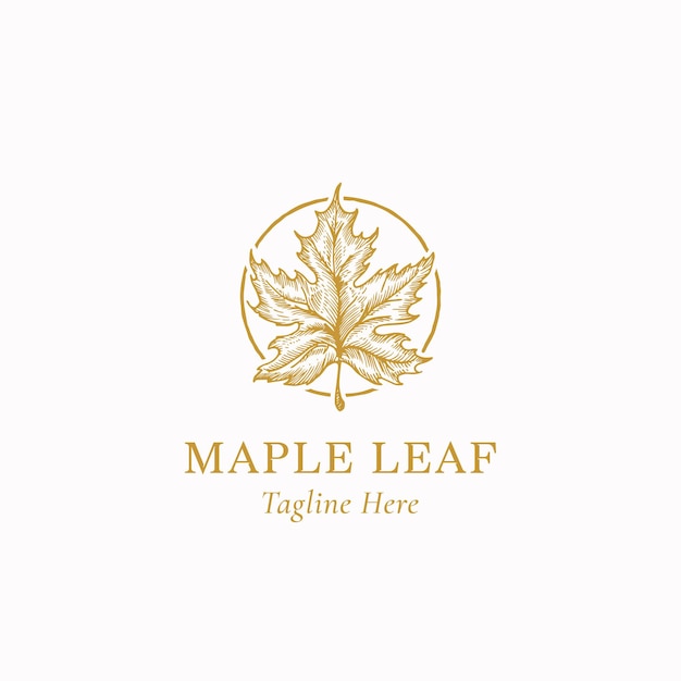 Maple Leaf Abstract Vector Sign Symbol o Logo Template Dibujado a mano Autumn Leaf Sketch Ilustración en un marco circular con tipografía retro aislada