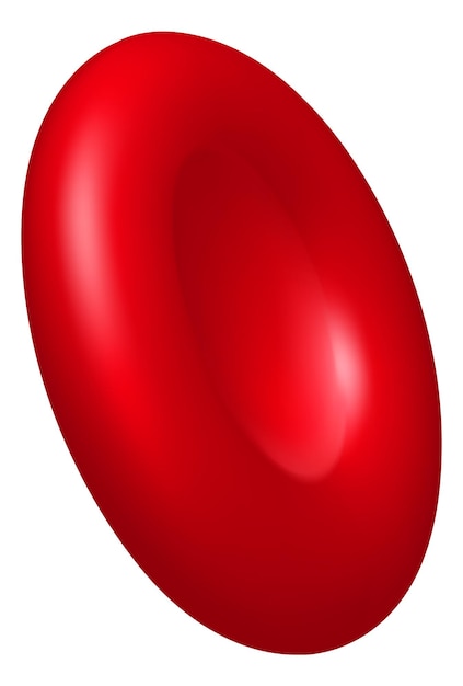 Maqueta 3d de eritrocitos Glóbulo rojo realista