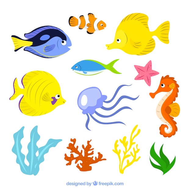 Mar ilustración vida