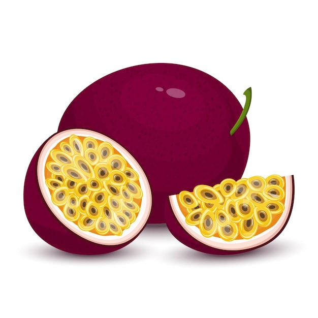 Maracuyá. Fruta de la pasión entera, rodajas y la mitad de maracuyá aislado sobre fondo blanco. Fresco brillante exótico corte rebanada maracuyá. Estilo de dibujos animados.