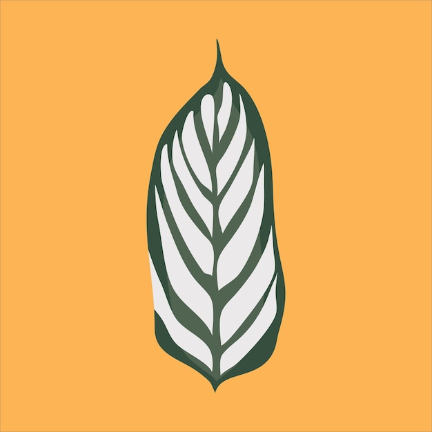 marantaceae hoja vector ilustración planta floral eps archivo Vintage vector ilustración botánica