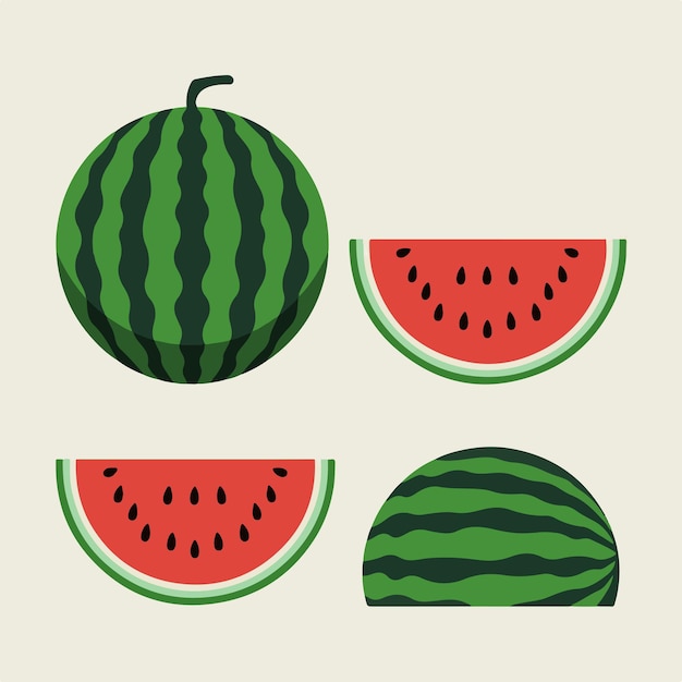 Las maravillas de la sandía en el arte vectorial plano