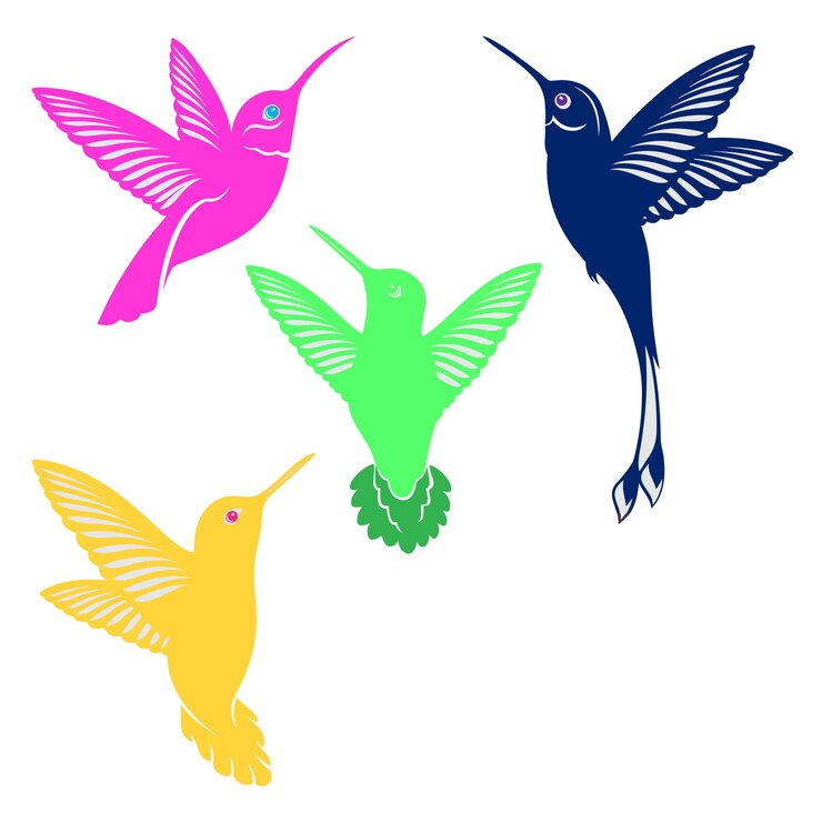 Vector maravillosos colibríes de cola de espátula conjunto de ilustraciones decorativas