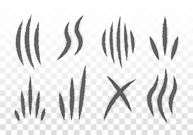 Marcas de garras de animales (gato, tigre, león, oso). conjunto de garras monstruosas, arañazos en la mano o rasgadura a través del fondo blanco.