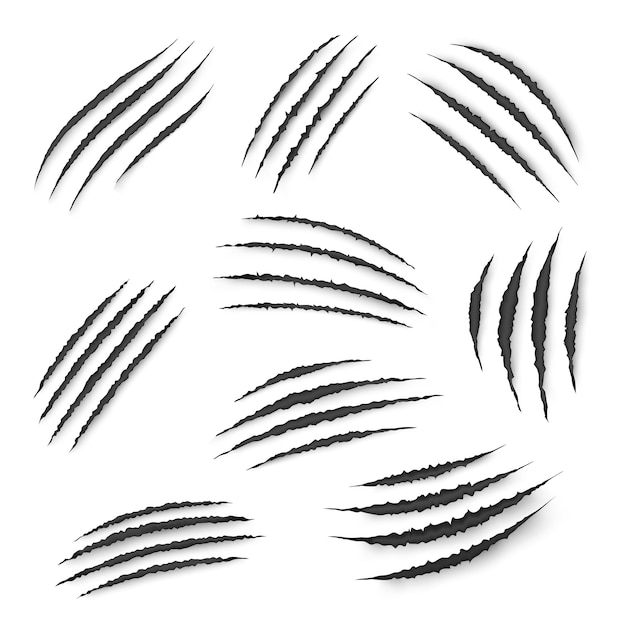 Marcas de garras de dragón, oso y tigre, arañazos y rastros. Marcas de ataque de animales y monstruos vectoriales, cicatrices y cortes de garras, huellas de garras de garras de león, gato salvaje o dinosaurio, impresión de tatuajes o camisetas