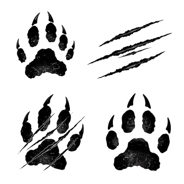 Marcas de garras y huellas de patas