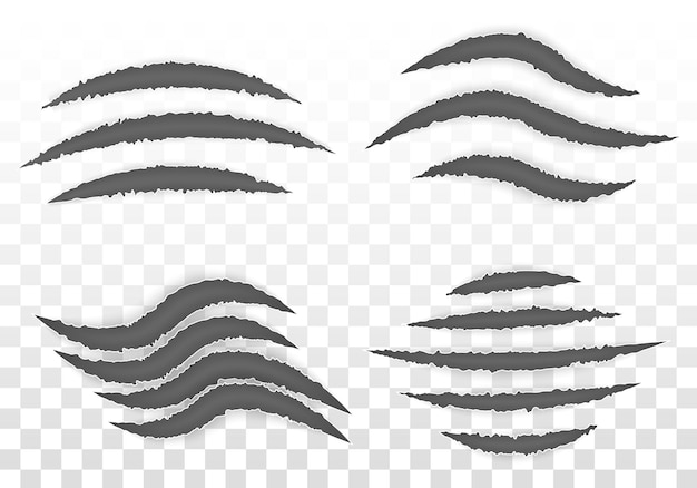 Marcas de garras rasguños rastros rasgados de barras de pata de animal Garras cortes rasguños vector de hombre lobo
