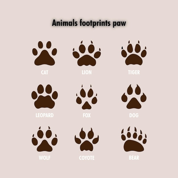 Vector marcas de huellas de distintos animales