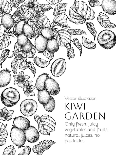 marco con árbol de frutas de kiwi y trozo de mitad de la fruta en estilo de grabado