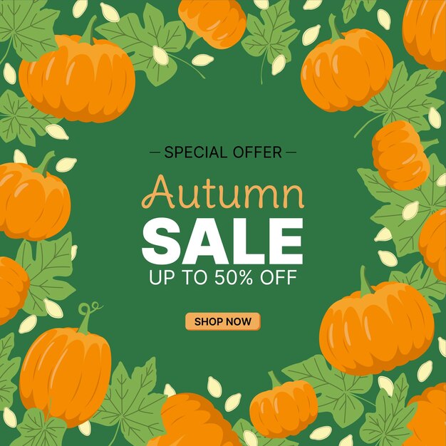 Marco de calabaza Marco cuadrado para ventas u ofertas en colores naranja blanco ang verde Calabaza deja semillas Ilustración de stock vectorial aislado EPS 10