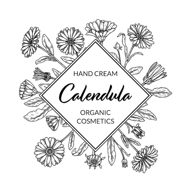 Marco de caléndula con elementos dibujados a mano Ilustración vectorial en estilo boceto