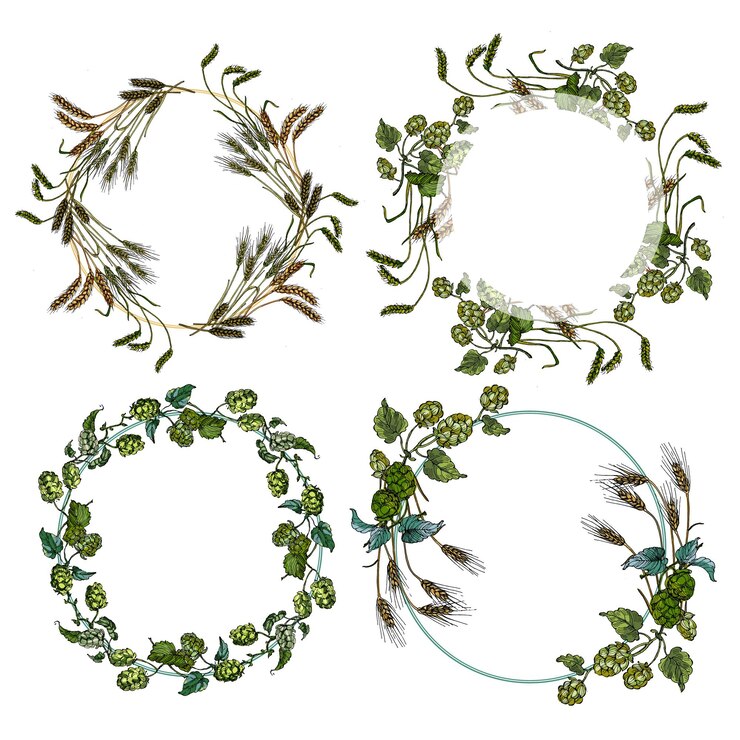 Vector marco circular con lúpulo y trigo líneas redondas dibujadas a mano fronteras de hojas y flores invitación de boda y tarjetas diseño de logotipo y plantillas de carteles estilo minimalista elegante floral