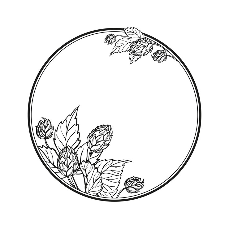 Vector marco de círculo vectorial dibujado a mano con hojas y brotes de plantas de lúpulo ingredientes de cerveza artesanal ilustración en blanco y negro de la rama humulus lupulus ilustración de tinta aislada sobre fondo blanco
