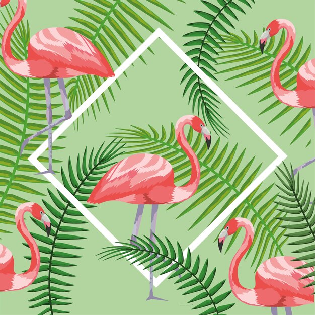 Marco cuadrado con flamencos y ramas hojas de fondo.