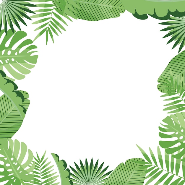 Marco cuadrado vectorial de hojas tropicales fondo blanco espacio de copia de plantilla de verano