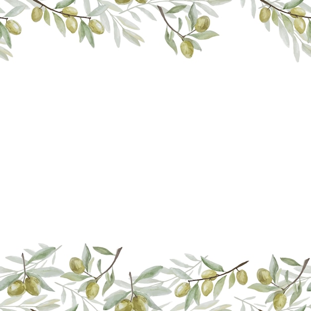 Marco de decoración de invitación de acuarela de aceitunas vectoriales dibujadas a mano verde