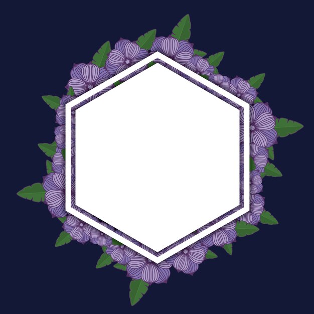 marco decorativo hexagonal