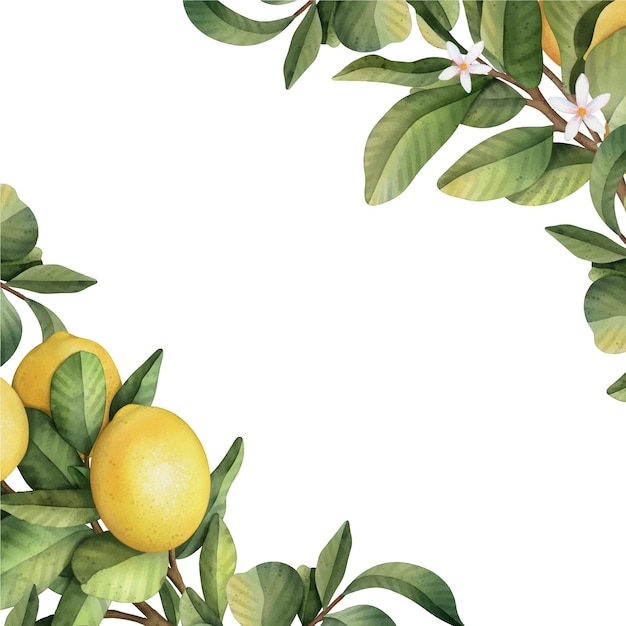 Marco dibujado a mano de acuarela limón Ilustración acuarela corona de limón y hojas