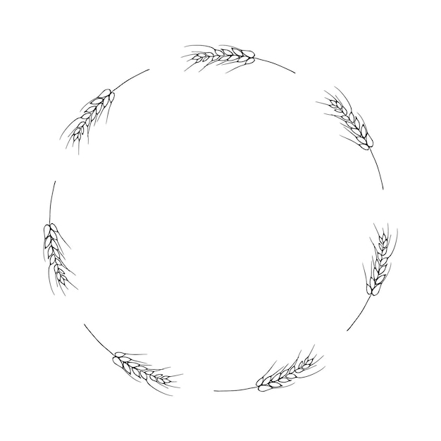 Marco dibujado a mano de orejas de trigo o centeno Vector corona floral de otoño en fondo aislado