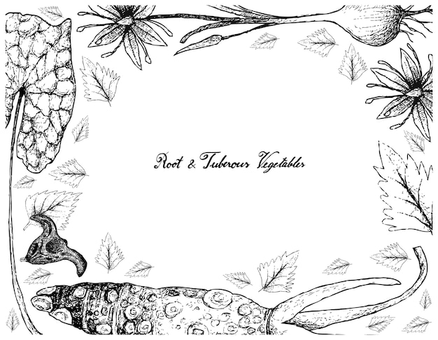 Marco dibujado a mano de raíz y vegetales tuberosos