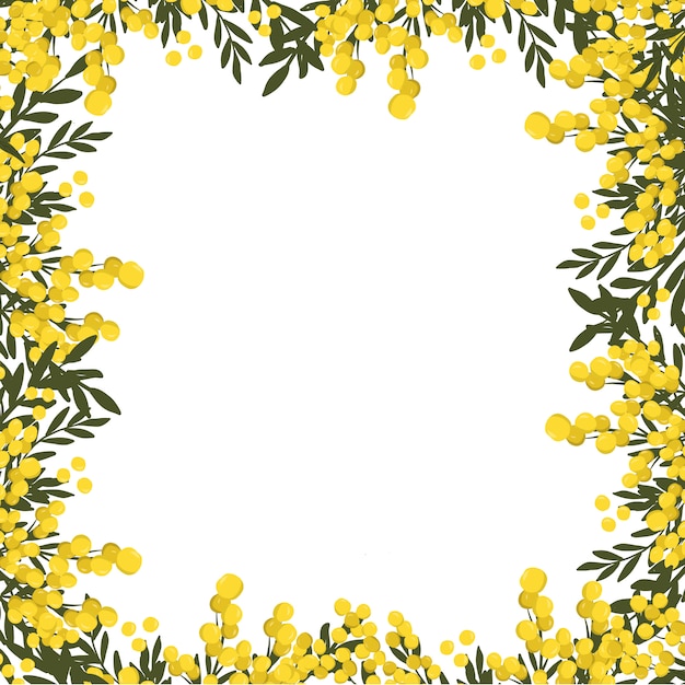 Vector marco floral de mimosa