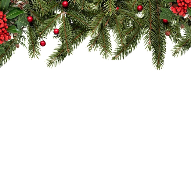 Marco floral navideño de guirnaldas de Groenlandia