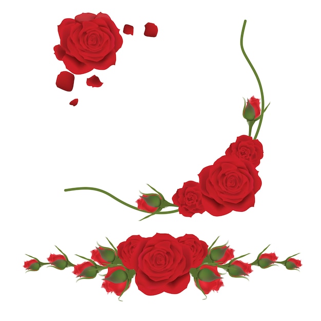 Vector marco floral con rosas rojas