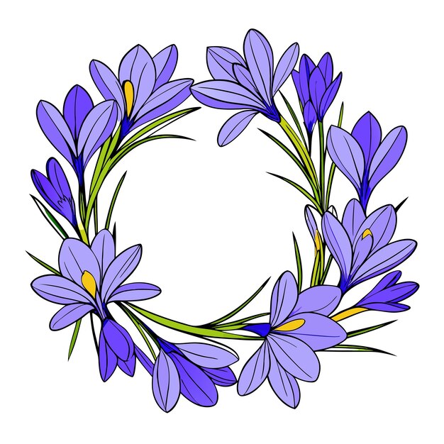 Marco con flores de crocus azules en un fondo blanco aislado 2