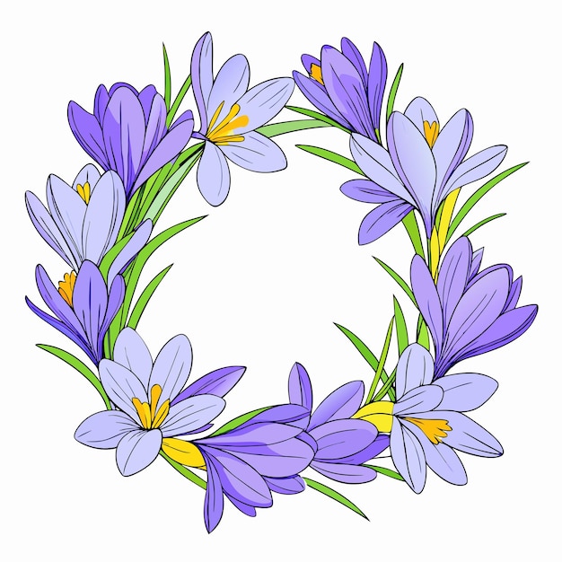 Marco con flores de crocus azules sobre un fondo blanco aislado 6