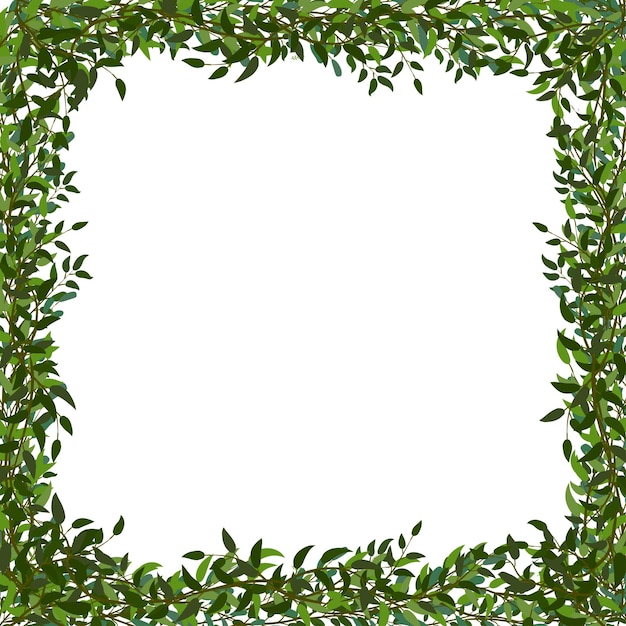 Vector marco de fondo moderno verde con hojas
