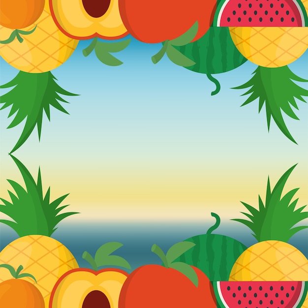 Marco de frutas y concepto de verano.