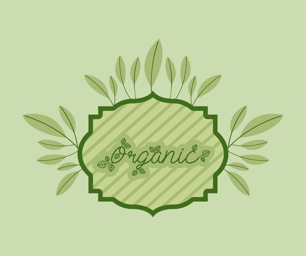 Vector marco con hojas de alimentos orgánicos