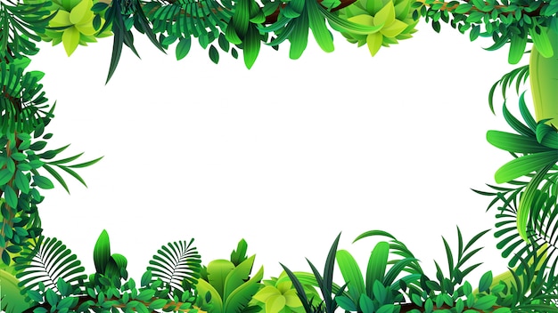 Vector un marco de hojas tropicales alrededor de un espacio vacío blanco. diseño de un marco hecho de elementos tropicales para su creatividad.