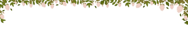 Vector marco horizontal de primavera con flores de trébol trébol y hojas verano vector banner aislado fondo blanco estilo de dibujos animados