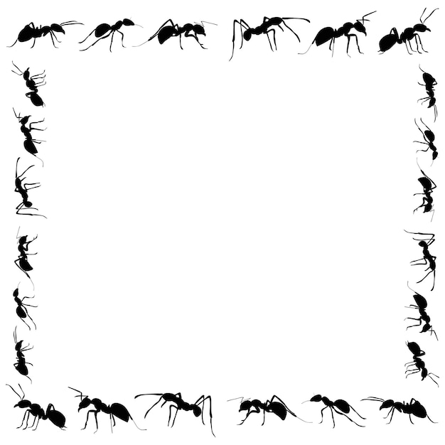 Marco de hormigas vectoriales sobre fondo blanco