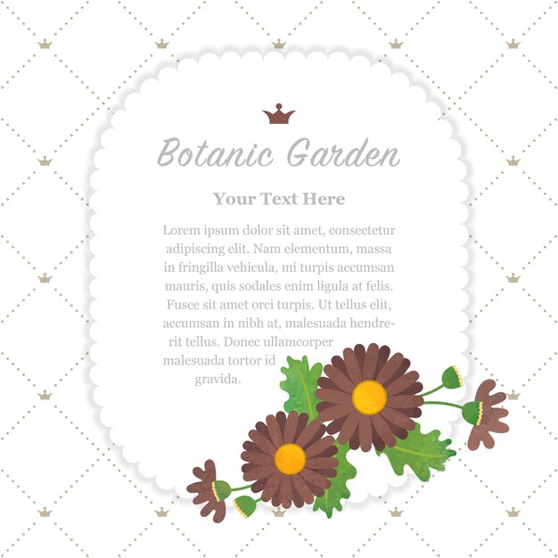 marco de jardín botánico asteraceae margarita marrón