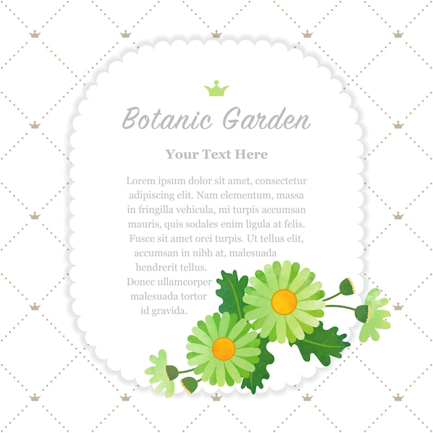 marco de jardín botánico asteraceae margarita verde