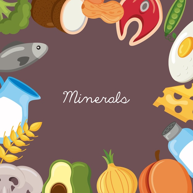 Vector marco de menú de ingredientes de dieta de minerales