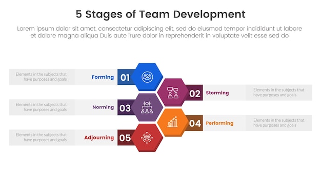 Marco de modelo de desarrollo de equipo de 5 etapas infográfico plantilla de etapa de 5 puntos con panal o hexágono vertical para presentación de diapositivas