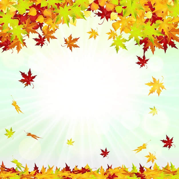 Marco de otoño con hojas cayendo