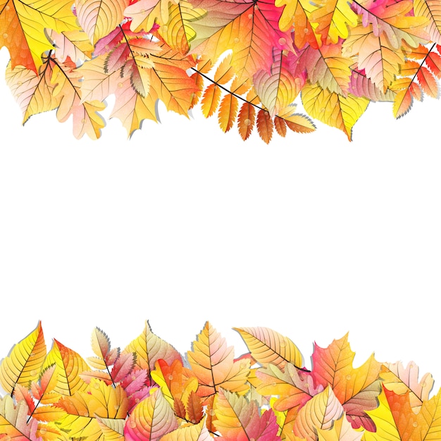 Marco de otoño con hojas de otoño.