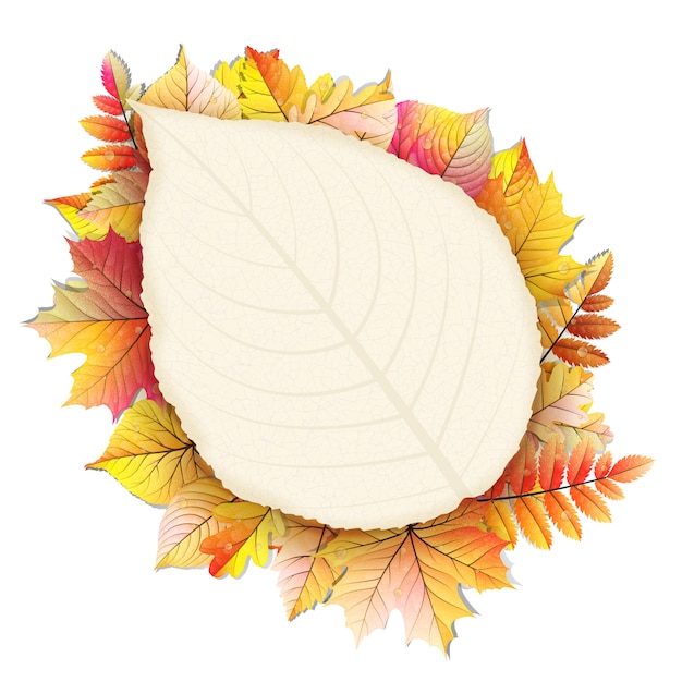 Marco de otoño con hojas de otoño.