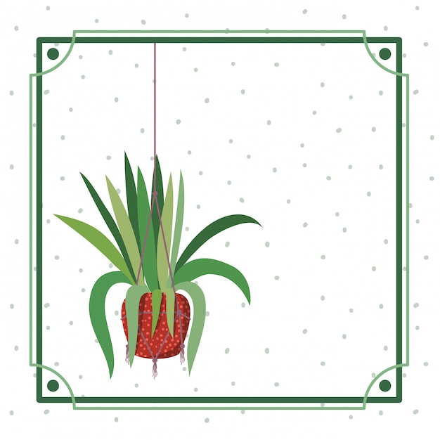 Vector marco con planta de interior en perchas macrame.