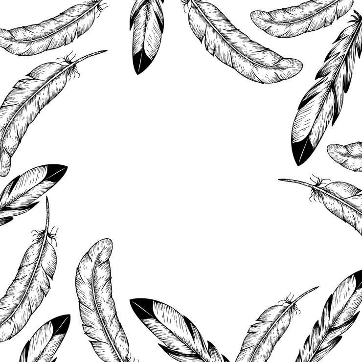 Vector marco de plumas de pájaro vectorial pintado a mano pluma lineal pluma ilustración gráfica plantilla monocromática