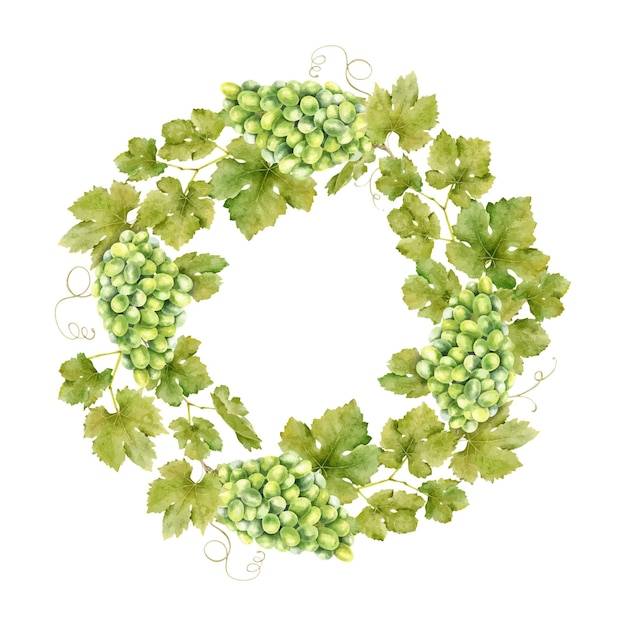 Marco de racimo de uvas verdes con hojas plantilla de vid ilustraciones de acuarela aisladas para el diseño de etiquetas de jugo de uva de vino y cosméticos tarjetas de boda tarjetas para felicitaciones de papelería