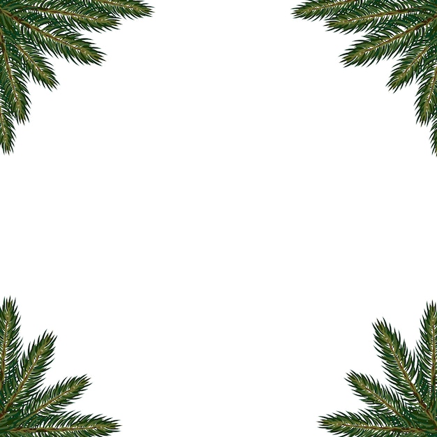 Vector marco de ramales de bebedero de árbol de navidad vectorial aislado sobre fondo blanco