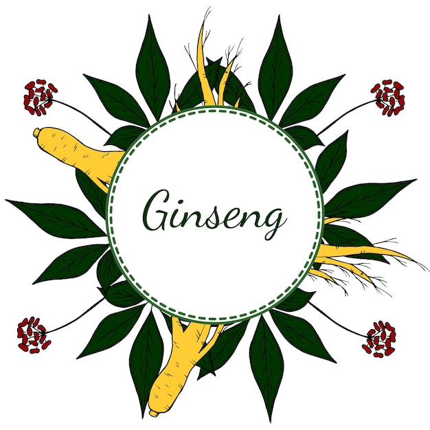Marco redondo de ginseng en color 1