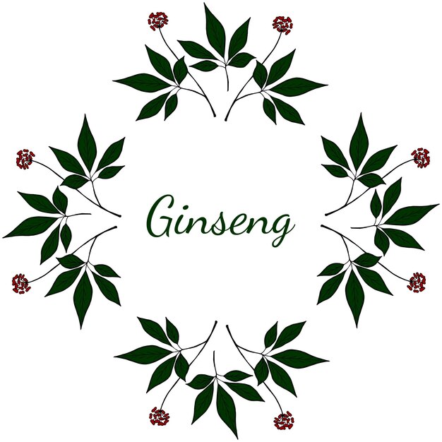 Marco redondo de ginseng en color 2