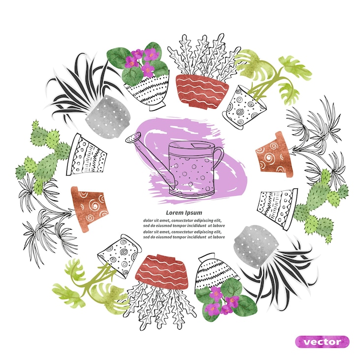 Vector marco redondo con plantas en las ollas fondo decorativo vectorial