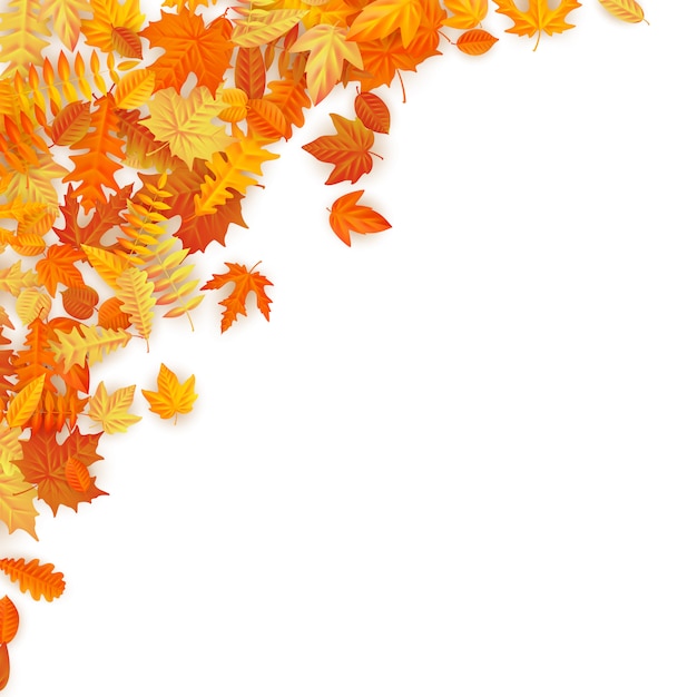 Marco con rojo, naranja, marrón y amarillo cayendo hojas de otoño.